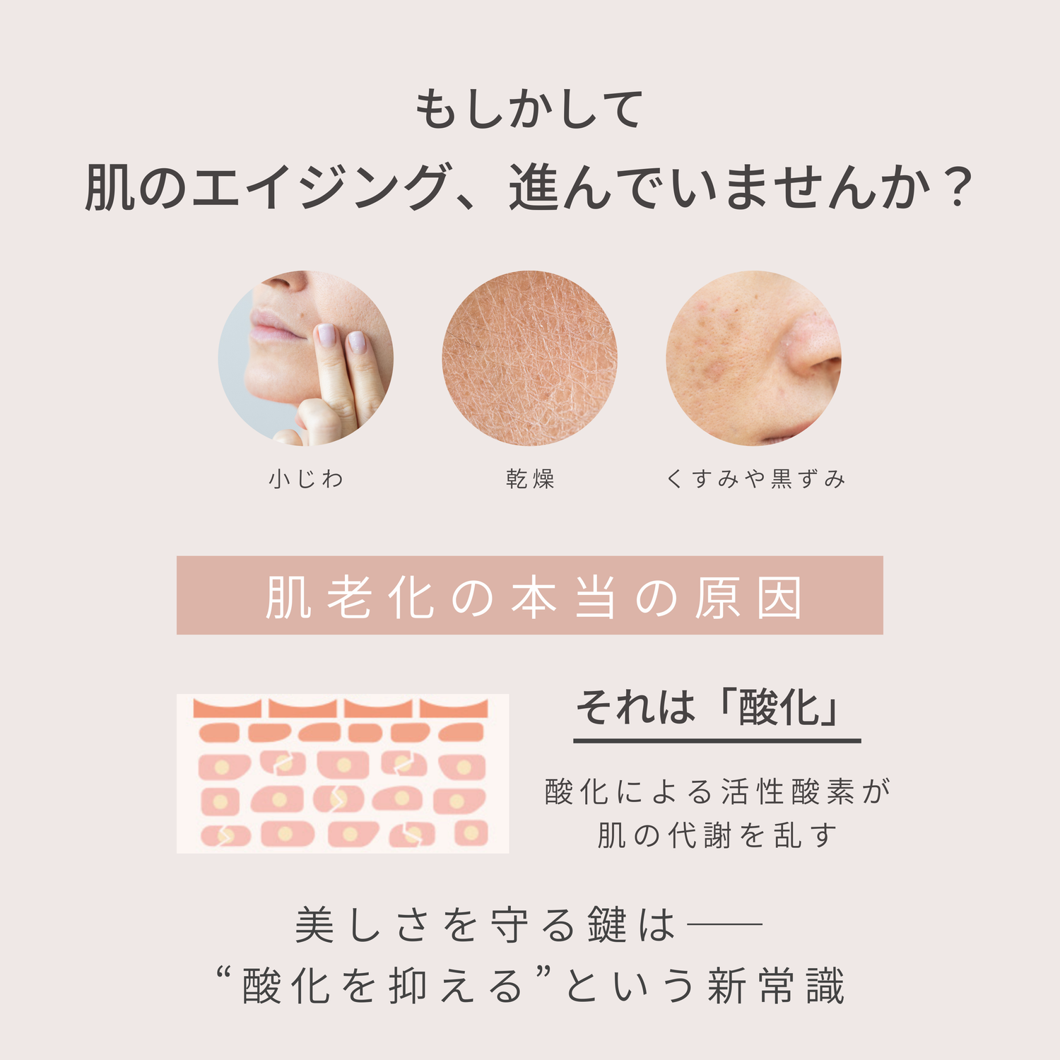 Booster Serum
